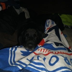 Meet your Posher, Jade